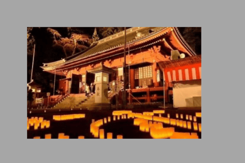 From Tokyo : Nikko Full Day Private Sightseeing Tour