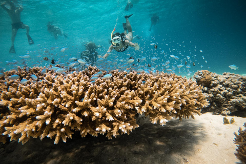 De Gili Air : Snorkeling com tartarugas e estátua subaquáticaViagem de Snorkeling em Grupo - 5 Horas