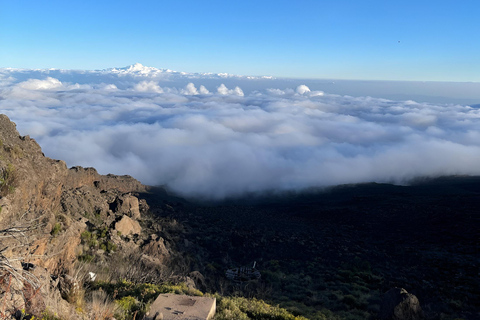 Kilimanjaro: Guided Trek with Certified Guide