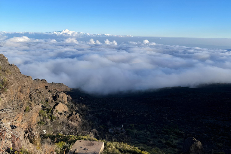 Kilimanjaro: Guided Trek with Certified Guide