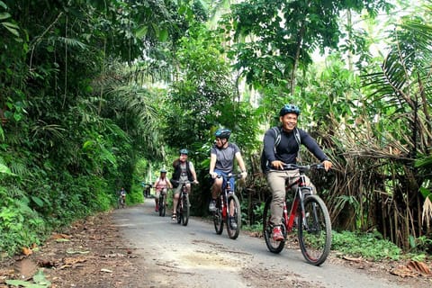 Bali: Kintamani Downhill Bike Tour & Fireflies Watching