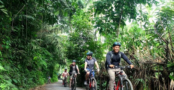 Bali: Kintamani Downhill Bike Tour, Firefly-Watching Option