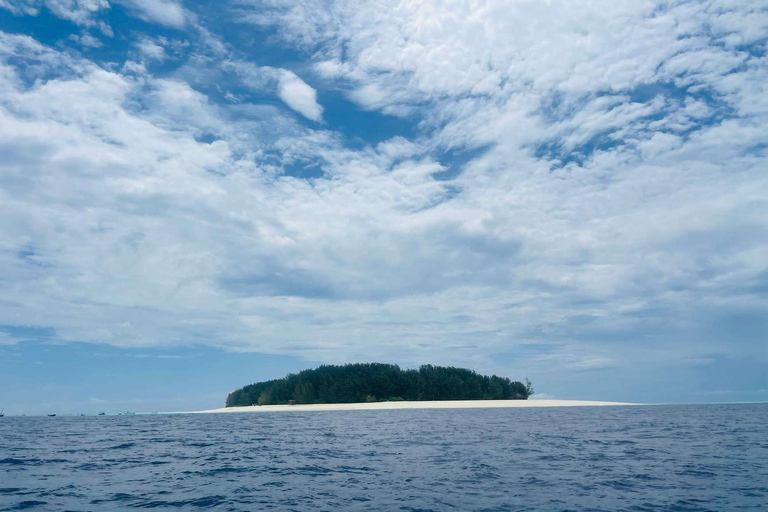 زنجبار: جولة كاياك بيئية في غابات المانغروف