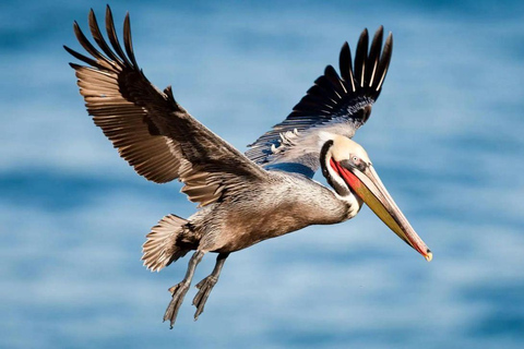 Lake Nakuru & Naivasha National Park Wildlife Highlights