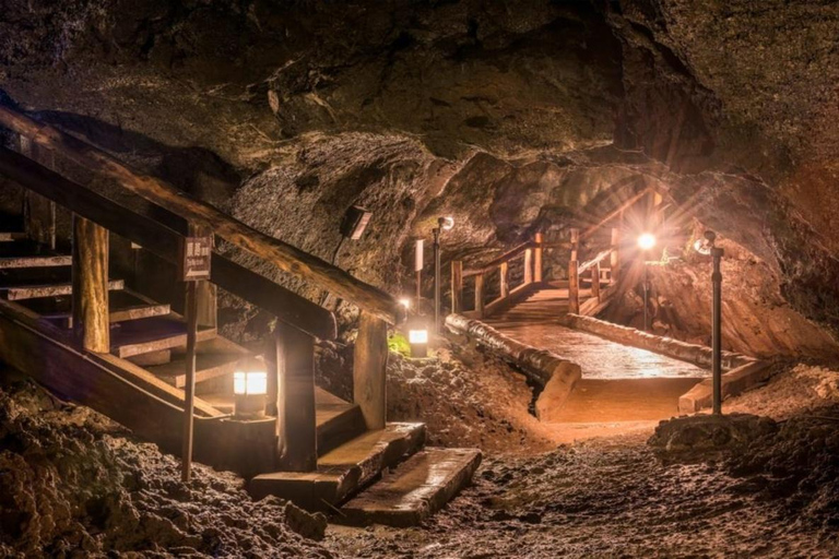 Tokyo: Mount Fuji Private Tour with Scenic Lunch Experience