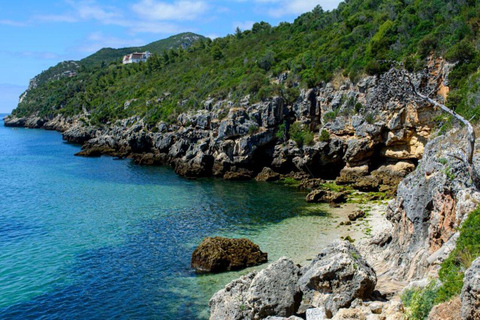 Lisbon: 3-Day Portugal Highlights Road Trip