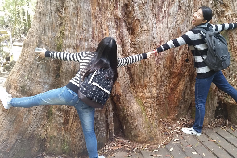 Excursión a la costa de Hobart: Parque Nacional y Fauna del Monte Field