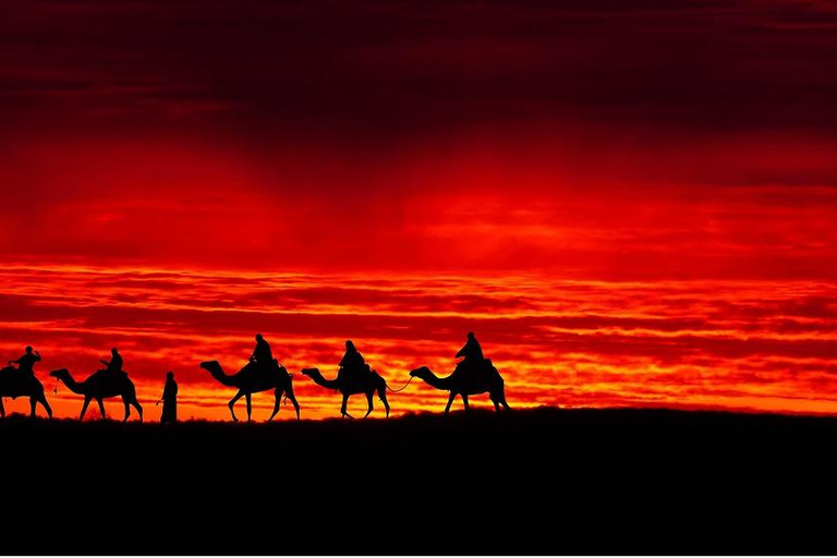 Djerba: Desert sunset, Bedouin evening, and aperitif included Djerba: Sunset in the desert, Bedouin evening, and aperitif included