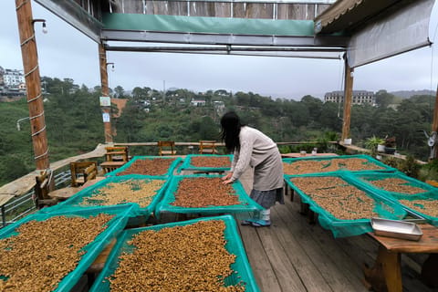 Experience specialty coffee with sustainable coffee farmers - Image 2
