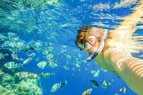 Puerto Plata: Snorkelexcursie naar de baai van Sosúa