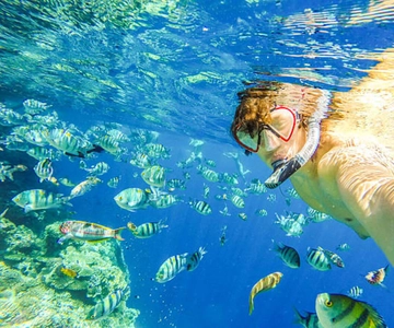 Puerto Plata: Snorkeling Excursion to Sosúa Bay