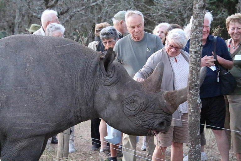 Nairobi: Ol Pejeta Conservancy Day Trip with Game Drive