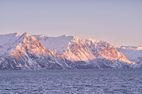 Tromsø: Rejs arktycznym fiordem wśród polarnych krajobrazów