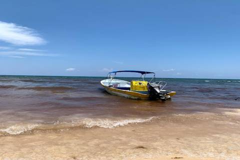 Desde Cancún: Esnórquel en los Arrecifes