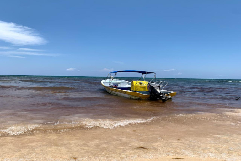 Da Cancun: Snorkeling nella barriera corallina