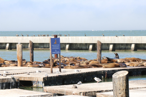 Fisherman&#039;s Wharf: Excursão a pé pelas jóias escondidas e Exploratorium