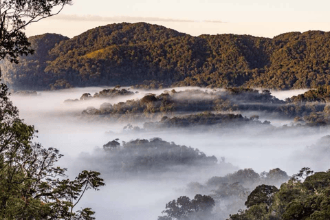 2 Day Nyungwe Canopy Walk and Zipline