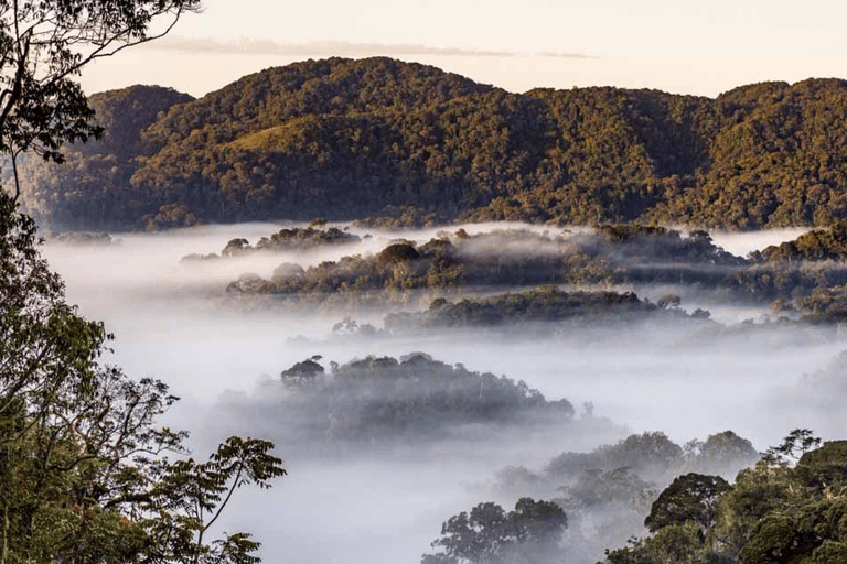 2 Day Nyungwe Canopy Walk and Zipline