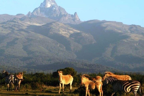 Dagsutflykt till Mount Kenya