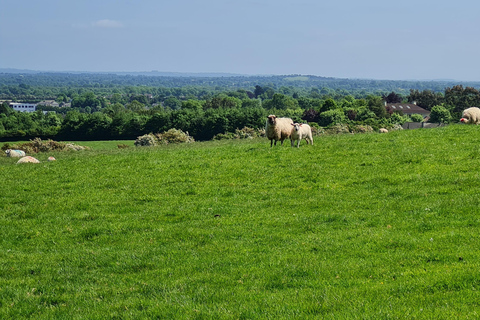 مقبرة نيوجرانج ممر نيوجرانج والمواقع الأيرلندية القديمة.