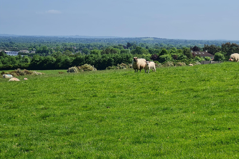 مقبرة نيوجرانج ممر نيوجرانج والمواقع الأيرلندية القديمة.