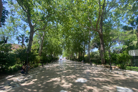 vanaf Estepona: Ronda privé, vervoer, café, stierenvechtarena, tapas, drankjes