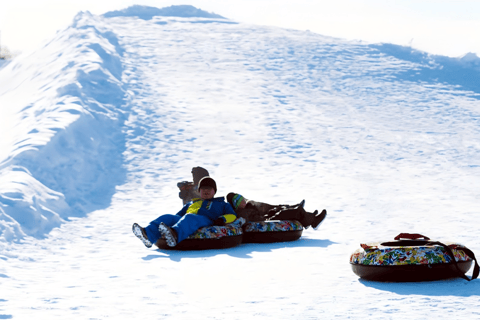 Hokkaido, Sappro, Otaru i Bibai Snowland | Jednodniowa wycieczka