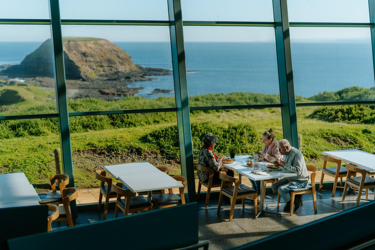 Melbourne Puffing Billy &amp; Penguins Day Tour