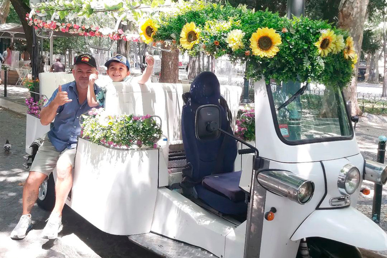 Lisbonne : visite de la ville historique en tuk tuk électrique