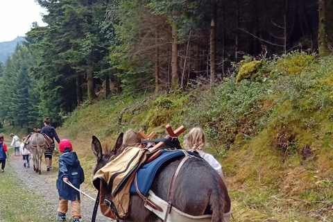 Luvigny: Donkey discovery walk Luvigny: Discovery walk with donkeys