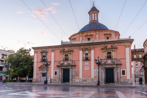 From Alicante: Day Trip to Valencia and the Albufera with Boat Ride From Alicante in English