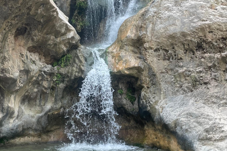 Muscat: Wadi Mibam, Sur, and Bimmah Sinkhole Day Trip