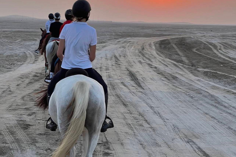 Qatar Desert Trails: Horse Ride & Dune Buggy Adventure