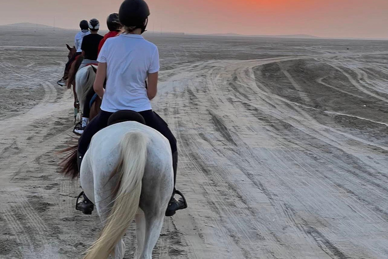 Qatar Desert Trails: Horse Ride & Dune Buggy Adventure