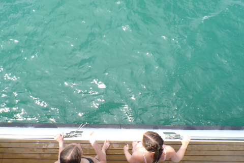 Valência: Cruzeiro de Catamarã com Parada para Nadar