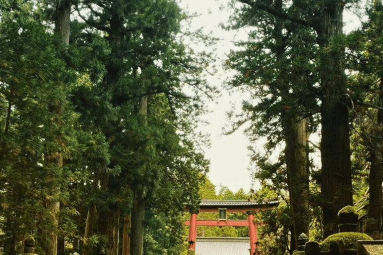 From Tokyo: Mount Fuji & Hakone Private Tour with Guide