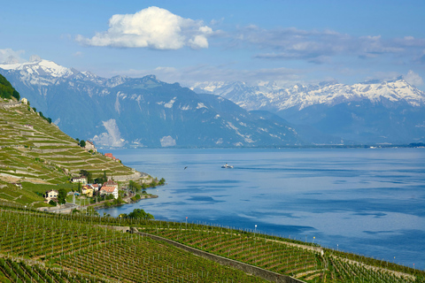 Zurich: Chaplin's World & Lake Geneva Private Day Trip