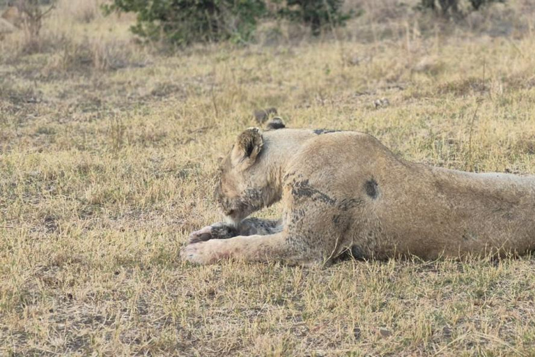 From Maputo: 2-Day Kruger National Park Safari
