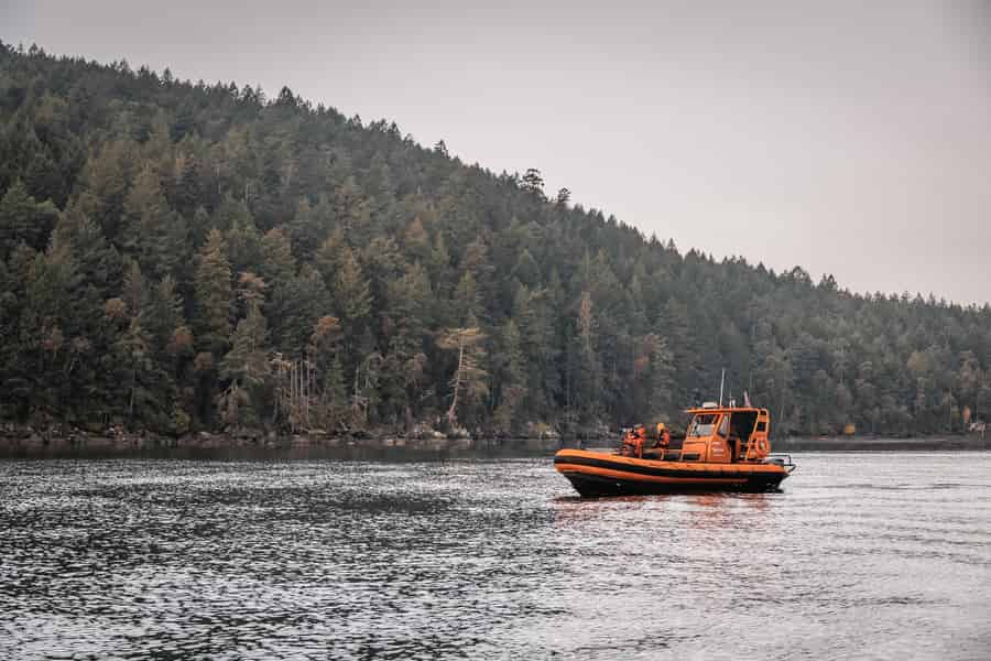 Private Walbeobachtung Nanaimo - Offenes Boot. Foto: GetYourGuide