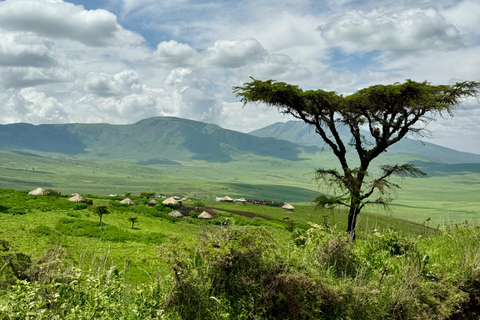 Sansibar: 3-tägige Safari nach Tarangire, Ngorongoro und Arusha