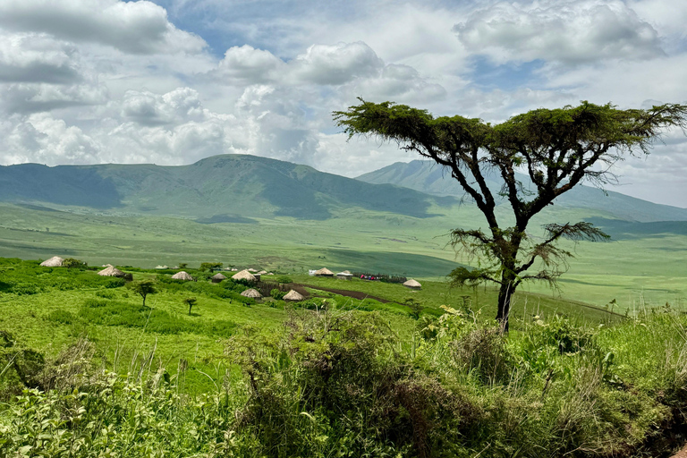 Sansibar: 3-tägige Safari nach Tarangire, Ngorongoro und Arusha