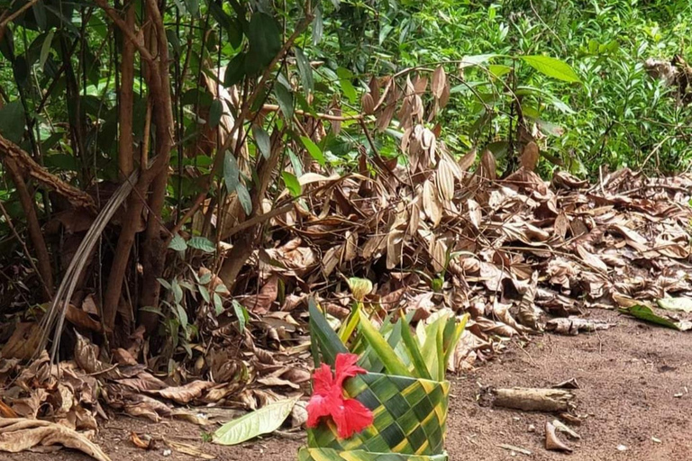 Swahili Cuisine in Spice Farm