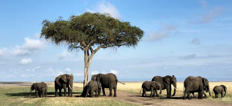Maasai Mara: 3 Day Private Wild Safari Expedition