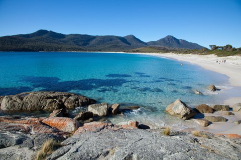 Tasmanië: 6-daagse natuurtour vanuit HobartMotel Tweepersoonskamer