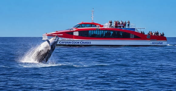 Sydney: Whale Watching & Hop On Hop Off Cruise Package