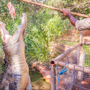 Broome: Spinifex Brewery, Museum & Crocodile Park Combo Tour