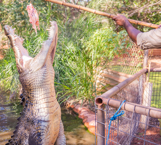 Museums in Broome: Tickets and Tours