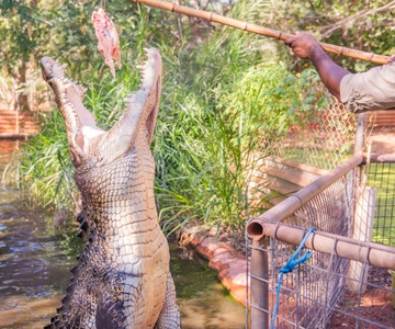 Broome: Tour combinado da Cervejaria Matso's, Museu e Parque dos Crocodilos