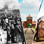 Da Cracovia: Tour di Auschwitz-Birkenau con trasporto