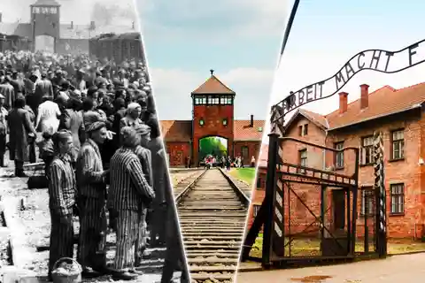 De Cracóvia: Visita a Auschwitz-Birkenau com transporte